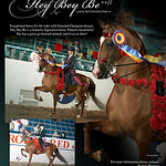 Email Blast Designs : Designs for the ARABIAN BLASTS company www.arabianblasts.com